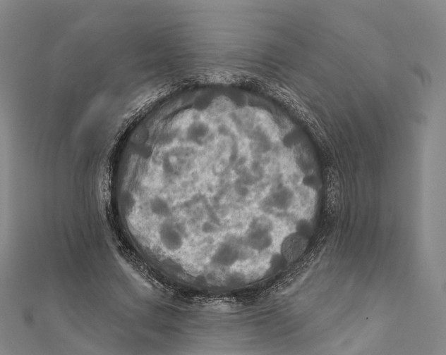 X0000112100683200909011125