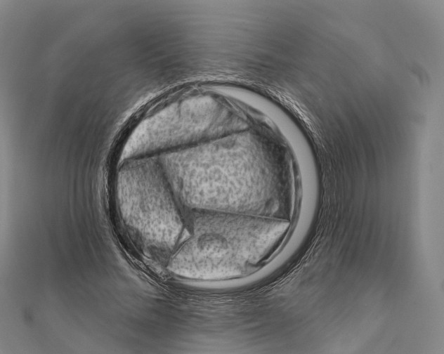 X0000112100684200909011125