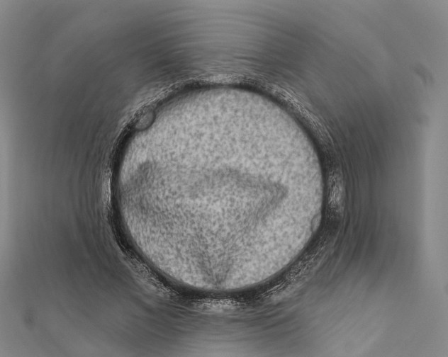 X0000112100685200909011125