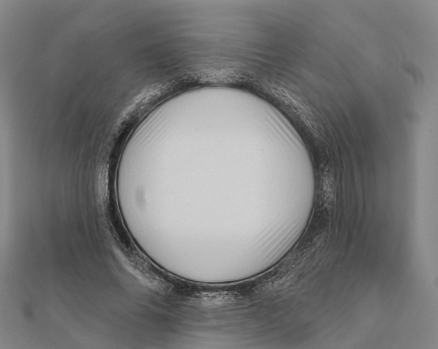 X0000112100686200909011125