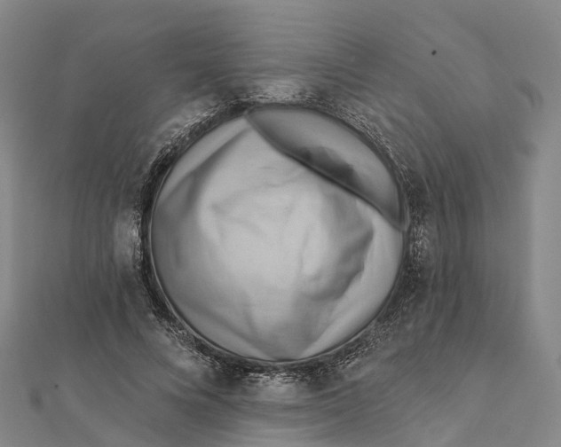 X0000112100688200909011125