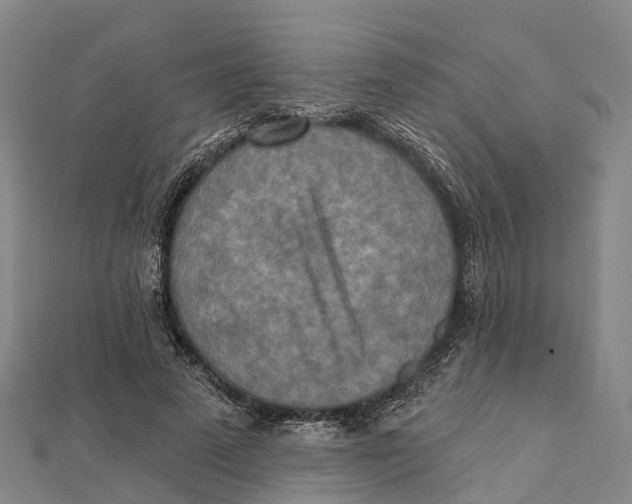 X0000112100689200909011125