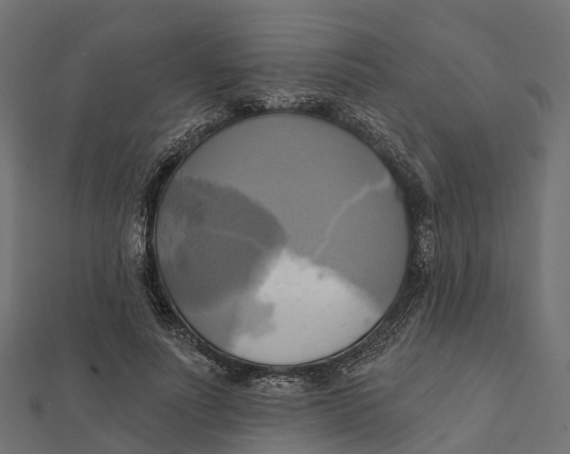 X0000112100691200909011125