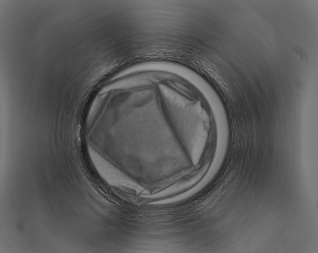 X0000112100692200909011125