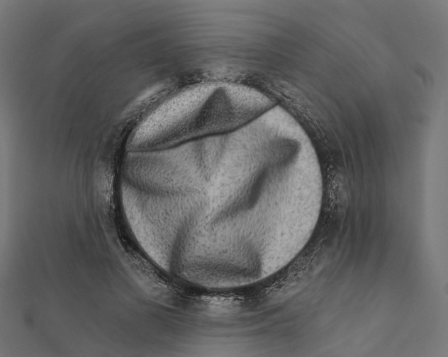 X0000112100693200909011125