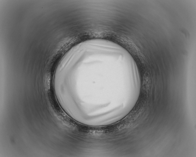X0000112100694200909011125