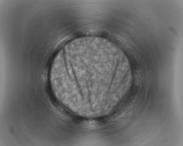 X0000112100695200909011125