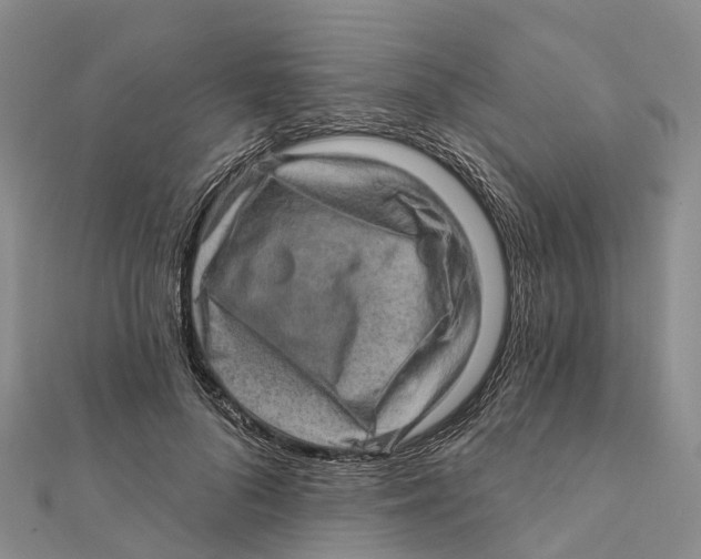 X0000112100696200909011125