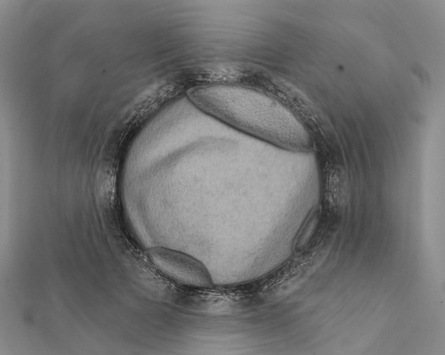 X0000112100697200909011125