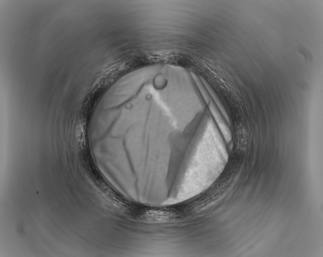 X0000112100699200909011125