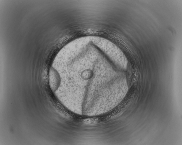 X0000112100700200909011125