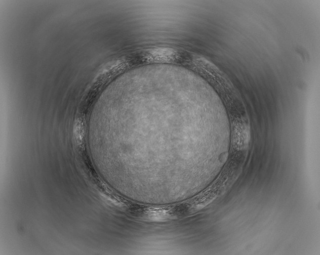X0000112100701200909011124