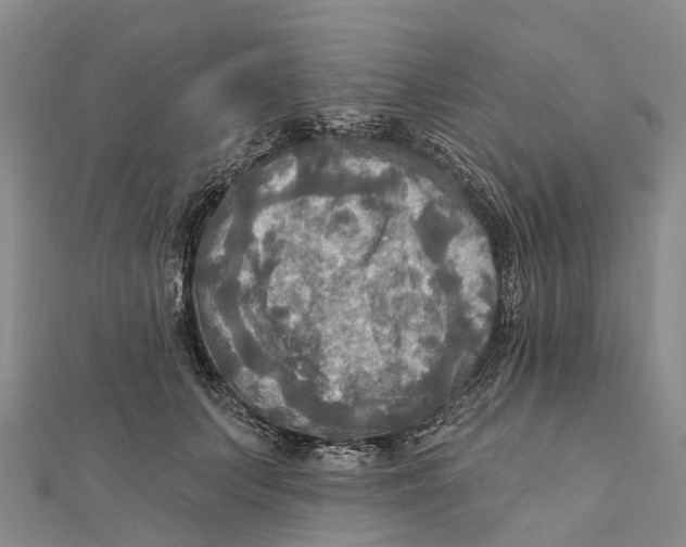 X0000112100703200909011124