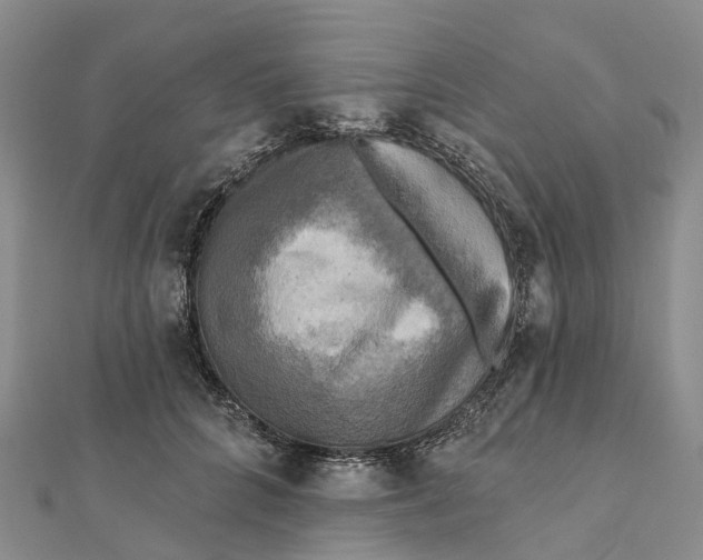 X0000112100704200909011124