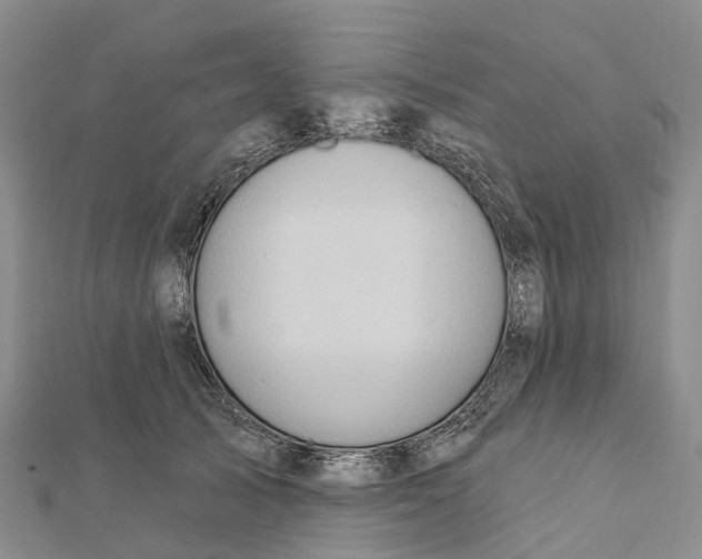X0000112100705200909011124
