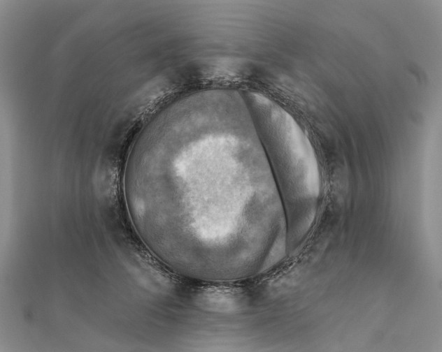 X0000112100708200909011124