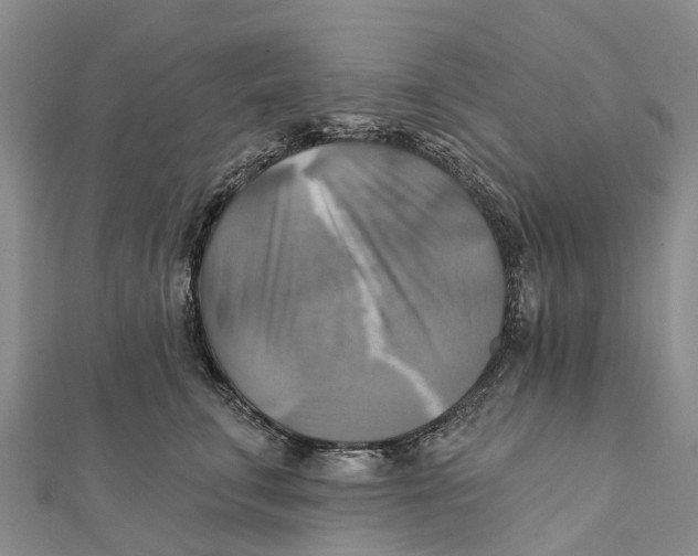 X0000112100711200909011124