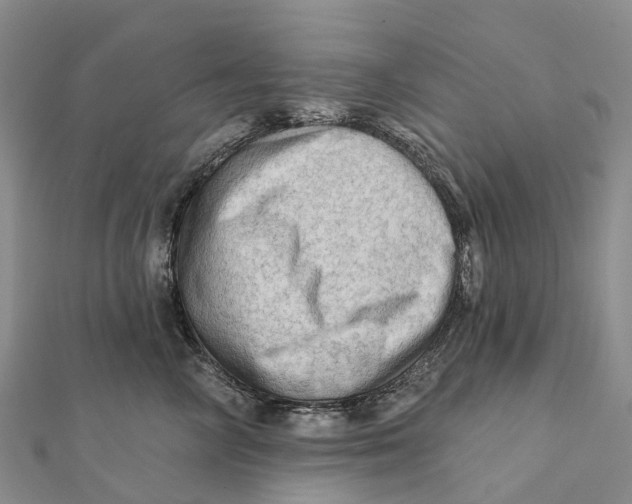 X0000112100714200909011124