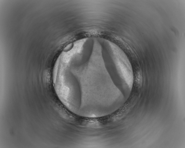 X0000112100715200909011124