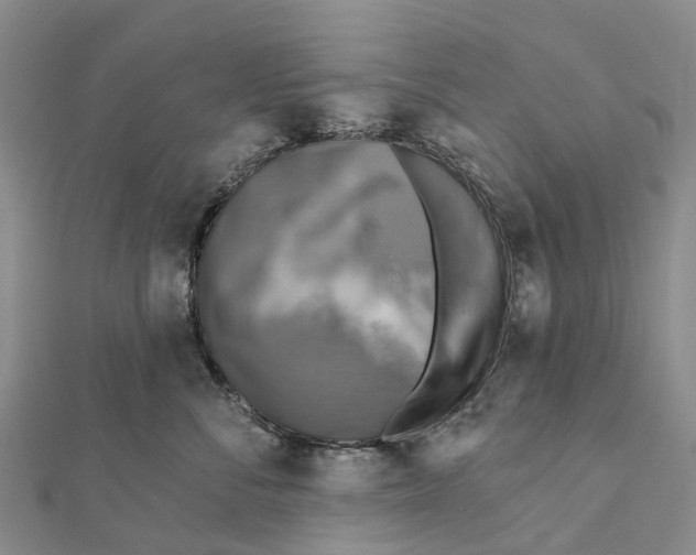 X0000112100716200909011124