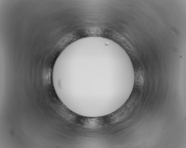 X0000112100717200909011124