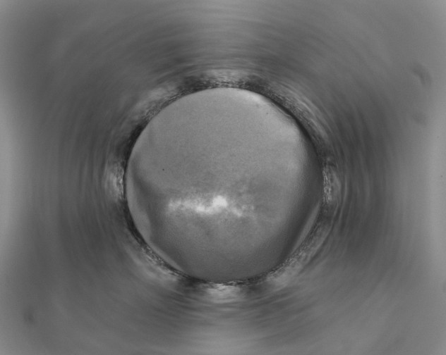 X0000112100718200909011124