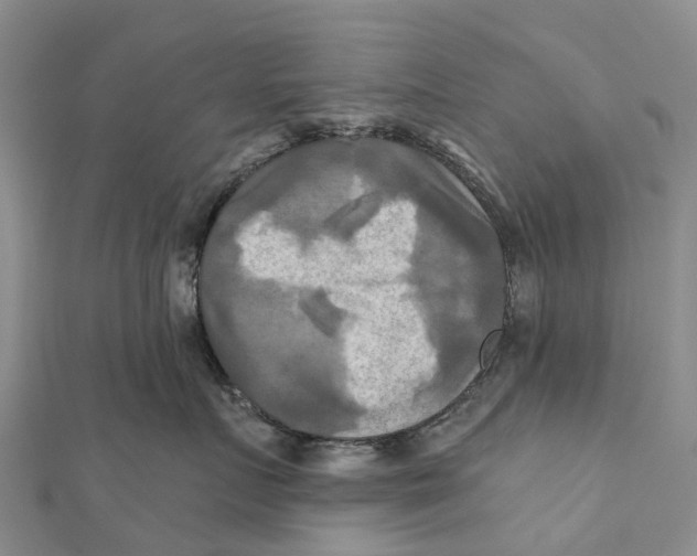 X0000112100719200909011124
