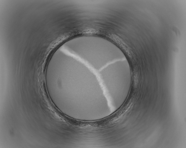 X0000112100721200909011124