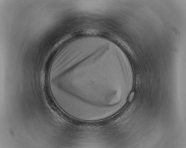 X0000112100722200909011124