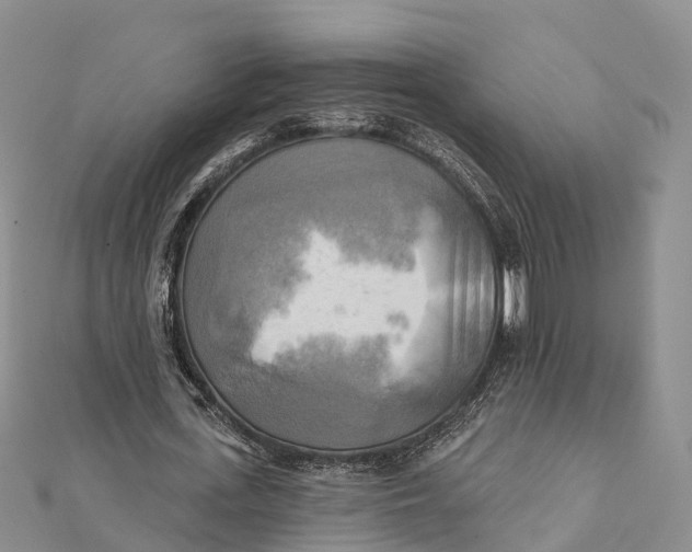 X0000112100723200909011124