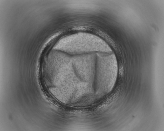 X0000112100724200909011124