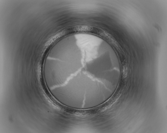 X0000112100725200909011124