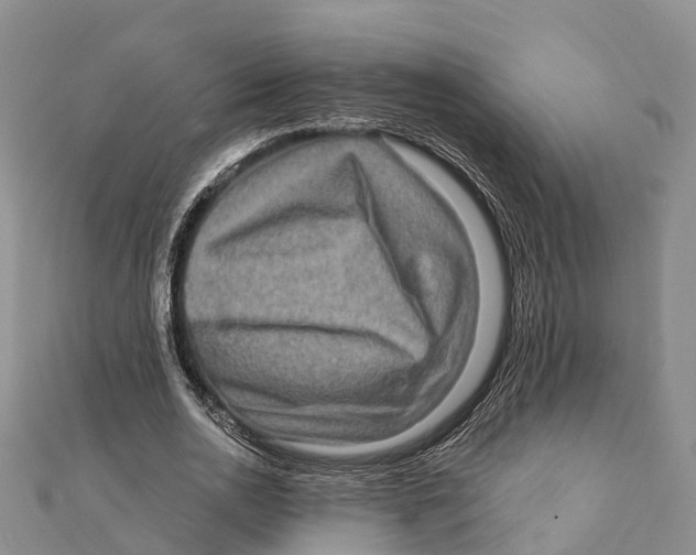 X0000112100726200909011124
