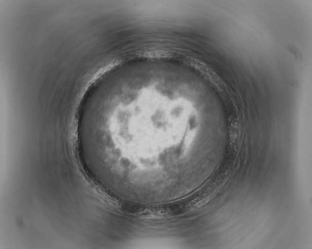 X0000112100727200909011124
