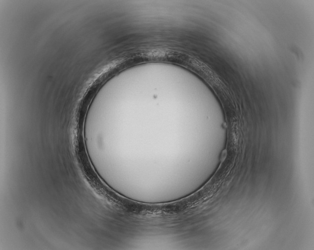 X0000112100728200909011124