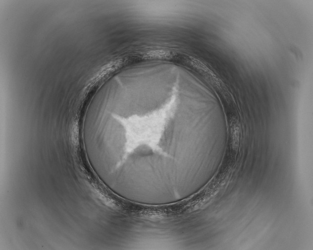 X0000112100729200909011124