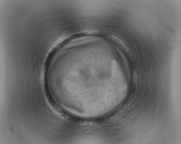 X0000112100730200909011124