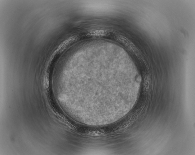 X0000112100731200909011124