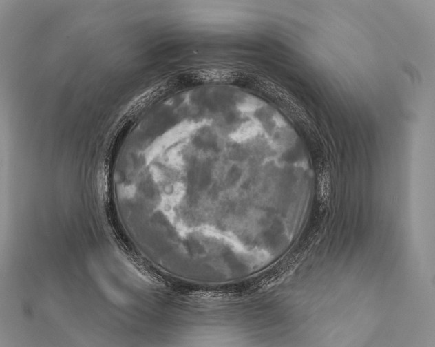X0000112100733200909011124