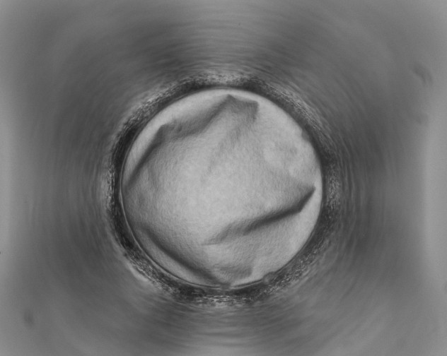 X0000112100736200909011124