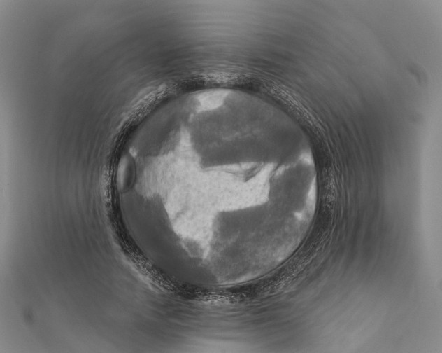 X0000112100738200909011124
