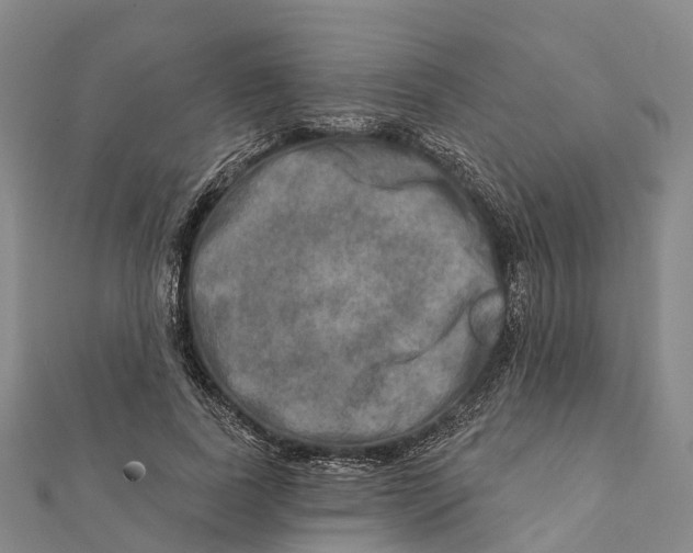 X0000112100739200909011124