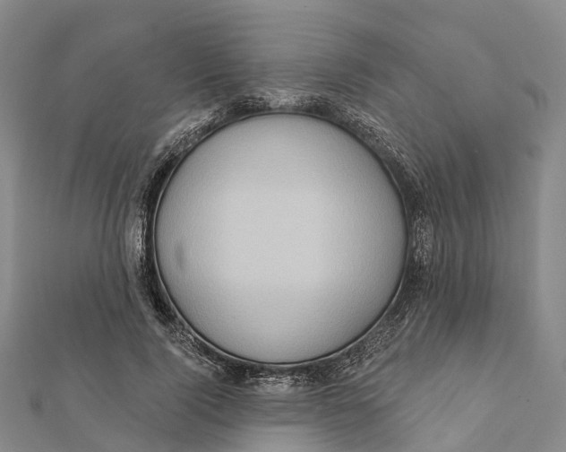 X0000112100740200909011124