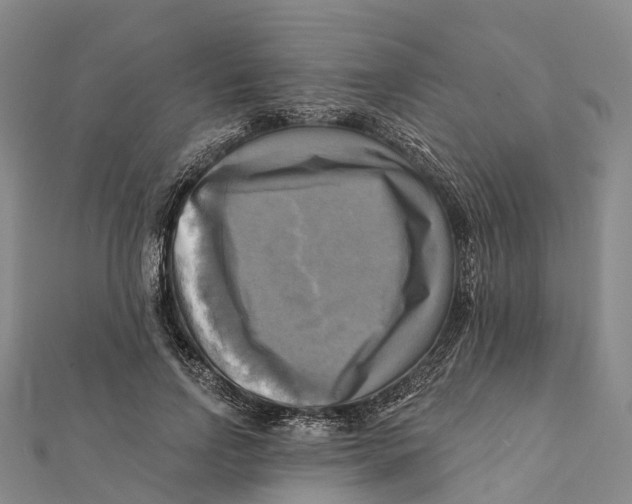X0000112100742200909011124