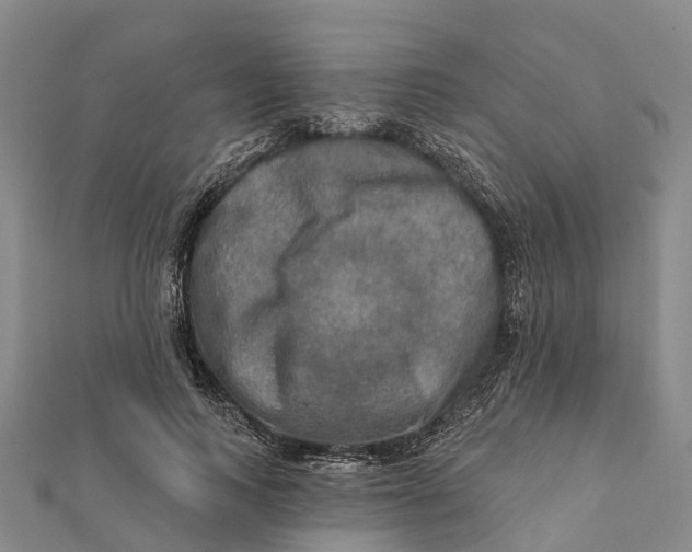 X0000112100743200909011124
