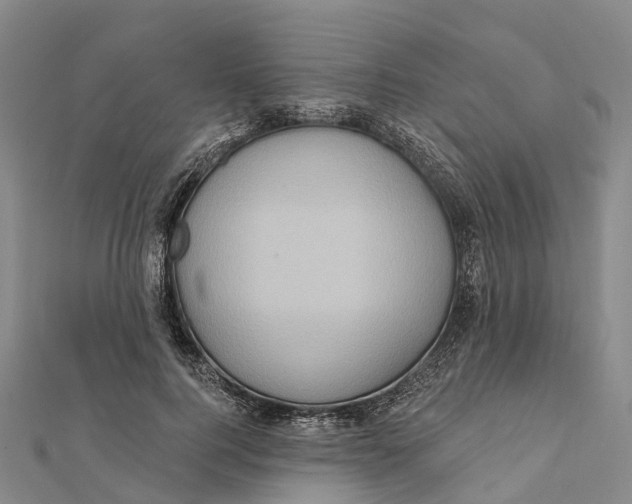 X0000112100744200909011124