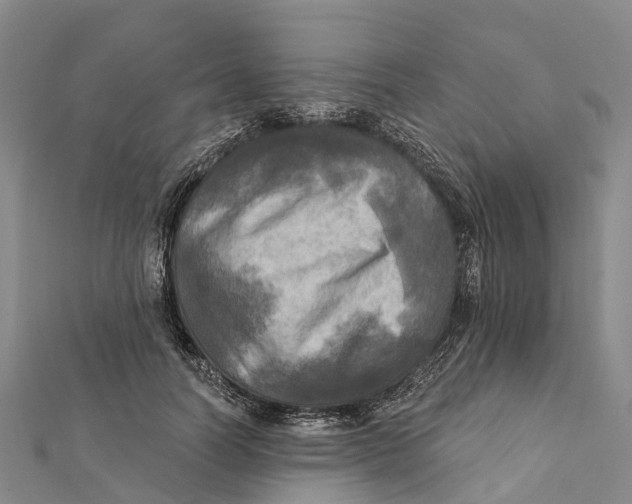 X0000112100746200909011124
