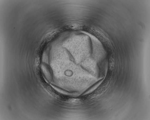 X0000112100748200909011124