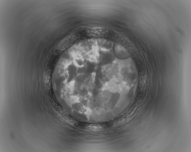 X0000112100749200909011124