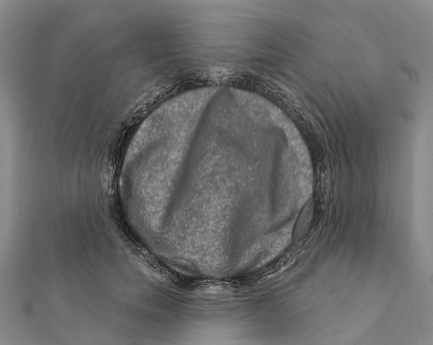 X0000112100750200909011124